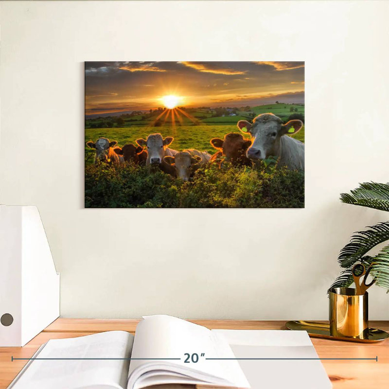 Brampt, vaches au coucher du soleil, H 8 po x l 12 po