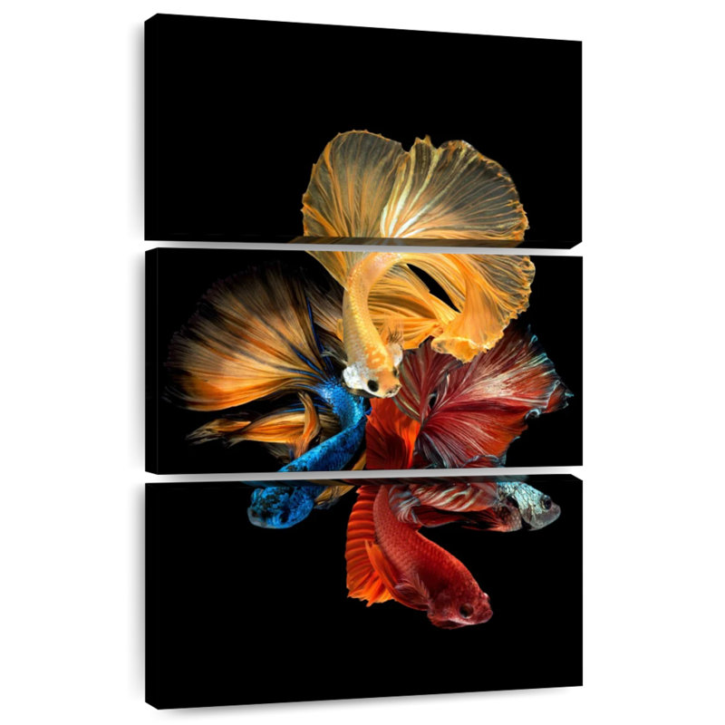 Brampt qui coule des poissons Betta, H 50 po x l 32 po