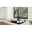 Blue Elephant Pull Down Kitchen Faucet-641023956
