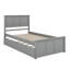Lit plateforme avec lit gigogne-1762650619