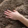 Caniesha Shag Performance Floral Rug