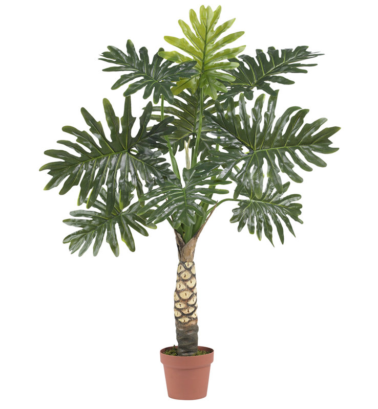 48'' Plant