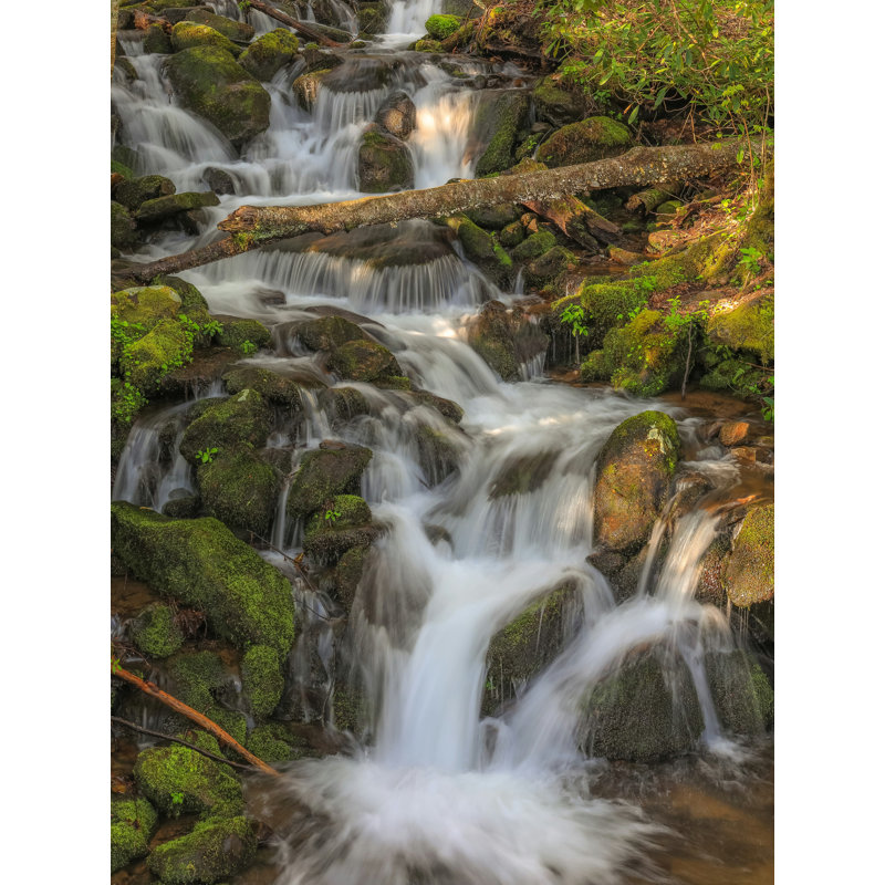 " Waterfall ", 40" H x 30" W  