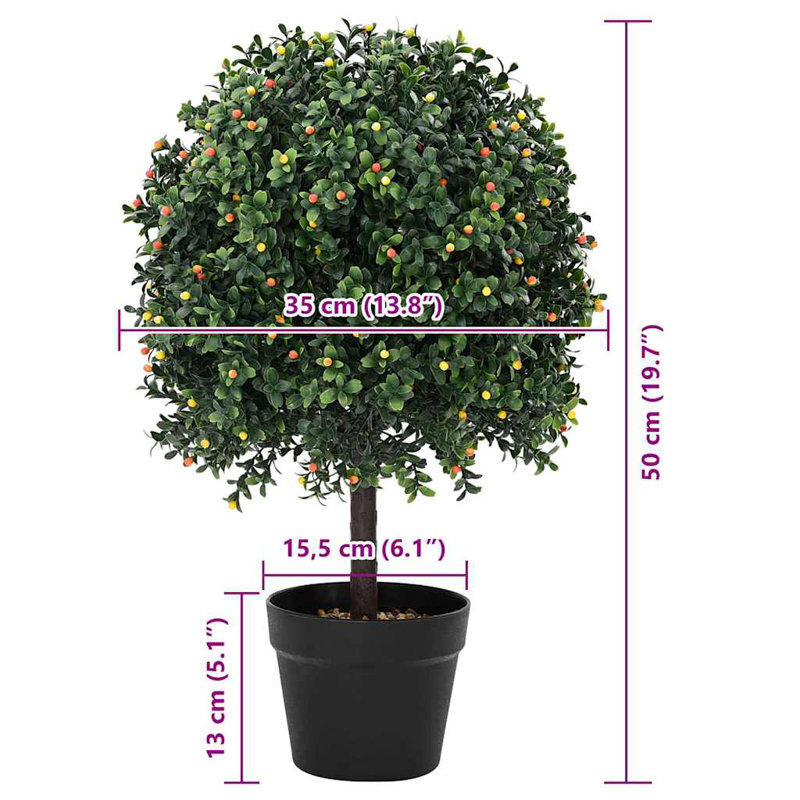 50cm Plant