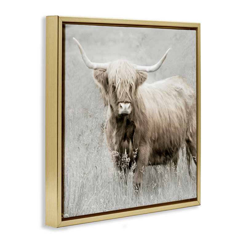 "Subtle Longhorn Bovins", art mural sur toile par Danita Delimont, Cadre flottant métallique doré, H 18 po x l 18 po