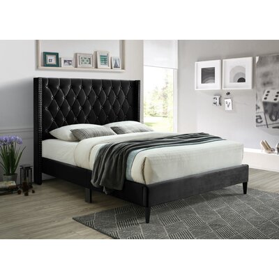 Samime Tufted Upholstered Low Profile Platform Bed -  Everly Quinn, 46D288F4BB2744D182B68AE5579F819A