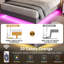 Lit plateforme-2122625194