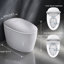Toilette à une pièce Sanyipace Smart Toilet and Bidet 1000Map 1.2GPF Auto Double Flush Emercgency
