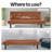 Armaquis Twin 66'' Faux Leather Convertible Sofa-1806124476