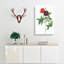 Rose Of Van Eeden by Pierre-Joseph Redoute - Wrapped Canvas-55323249