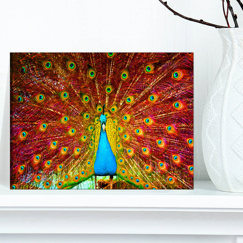 « peacock danse », reproduction d’impression sur toile tendue encadrée, H 8 po x l 12 po x P 1 po, Toile tendue