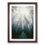 Down the Forest Path in Abstract - Picture Frame Painting Print-55545848-55545843