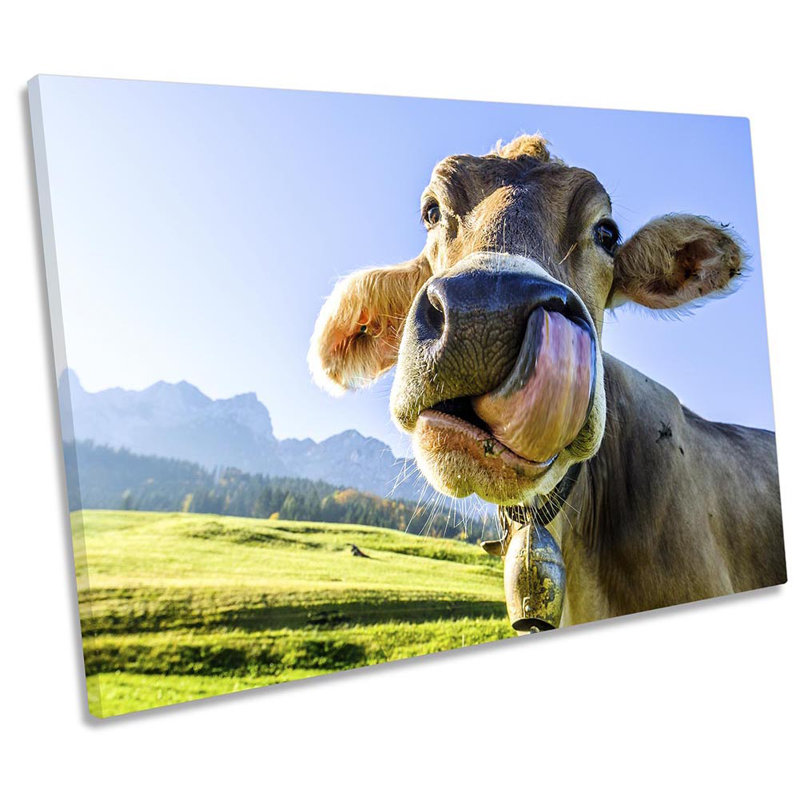 Cow Licking Lips Farm - Wrapped Canvas Print, 61cm H x 91.4cm W