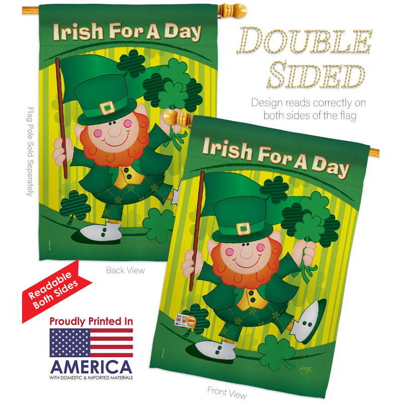 Drapeau de maison irlandais en polyester 40 x 28 po