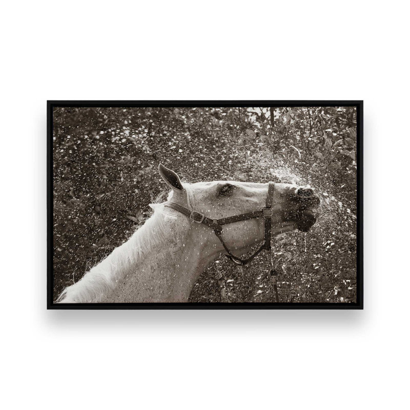 «After a Shower» par Jim Dratfield, reproduction d'art sur toile, H 24 po x l 36 po, Cadre flottant, Noir