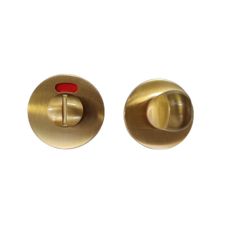 Advaith Bathroom Door Closes, Satin Brass