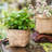 Dekou Handmade Pot Planter-1917578890