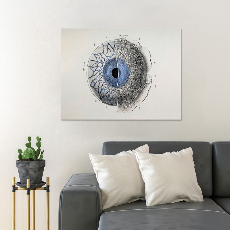 «Eye Anatomy Art», impression sur toile tendue, H 11 po x l 24 po x P 2 po