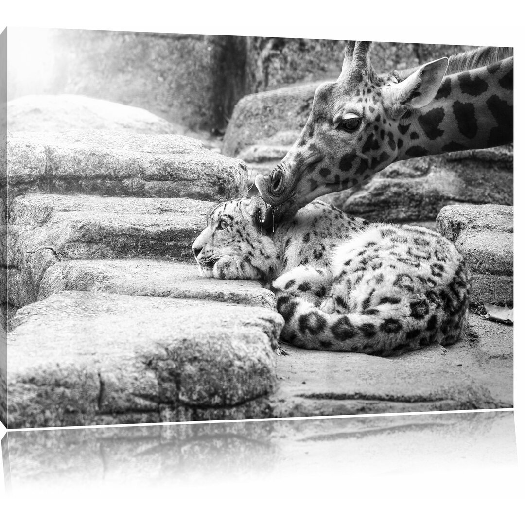 Leinwandbild „Kuschelnder Leopard und Giraffe“, Fotodruck