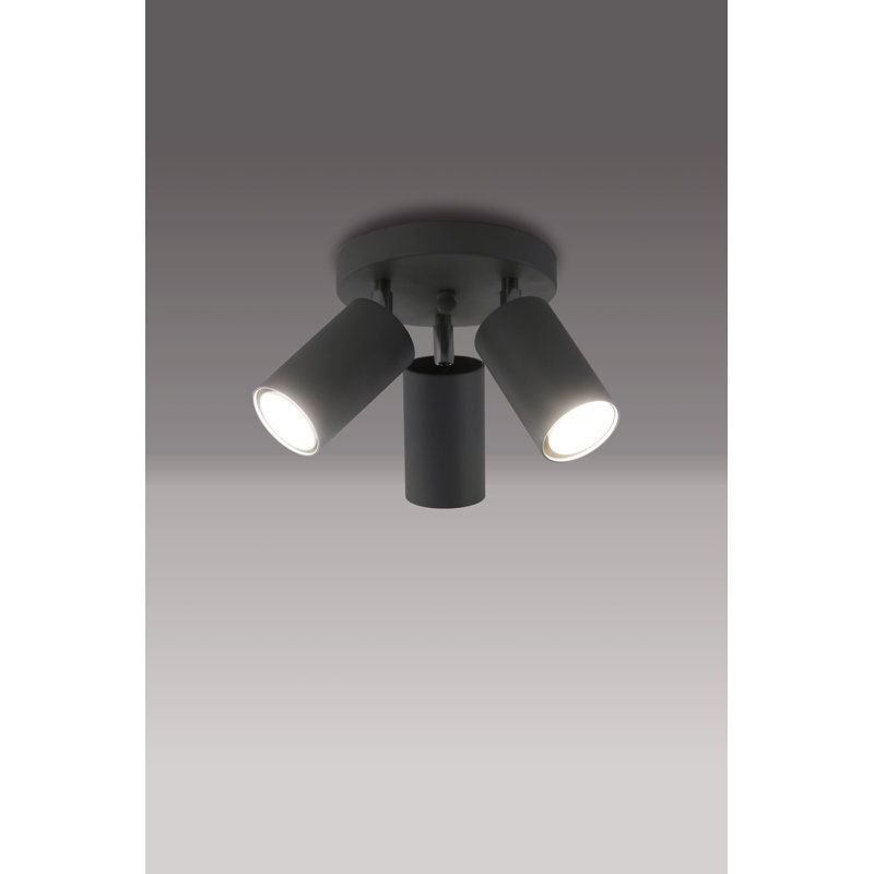 Caulksville Spotlight, Grey