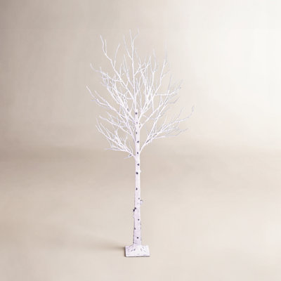 Lighted Trees & Branches