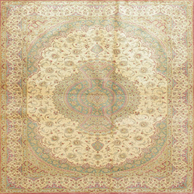 Oriental Indoor Rug