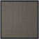 Dollard Natural Fiber Sisal With Latex Solid Color Rug
