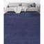 Area Rug in Blue