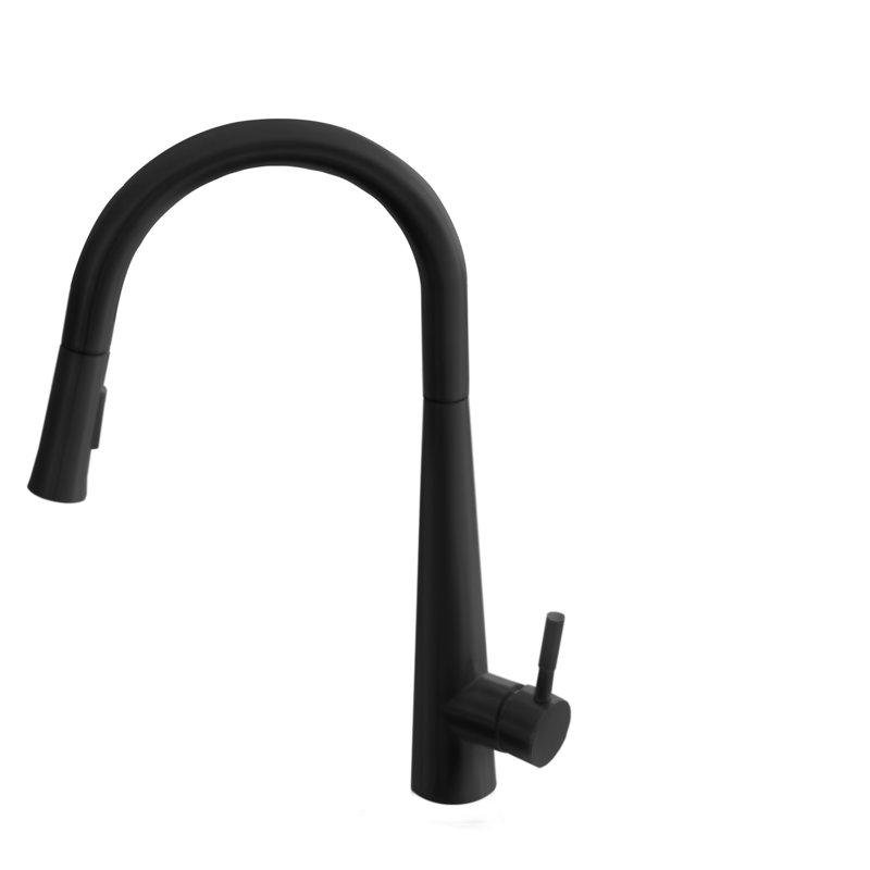 Matte Black Stainless Steel Pull-Down Kitchen Faucet with Spray