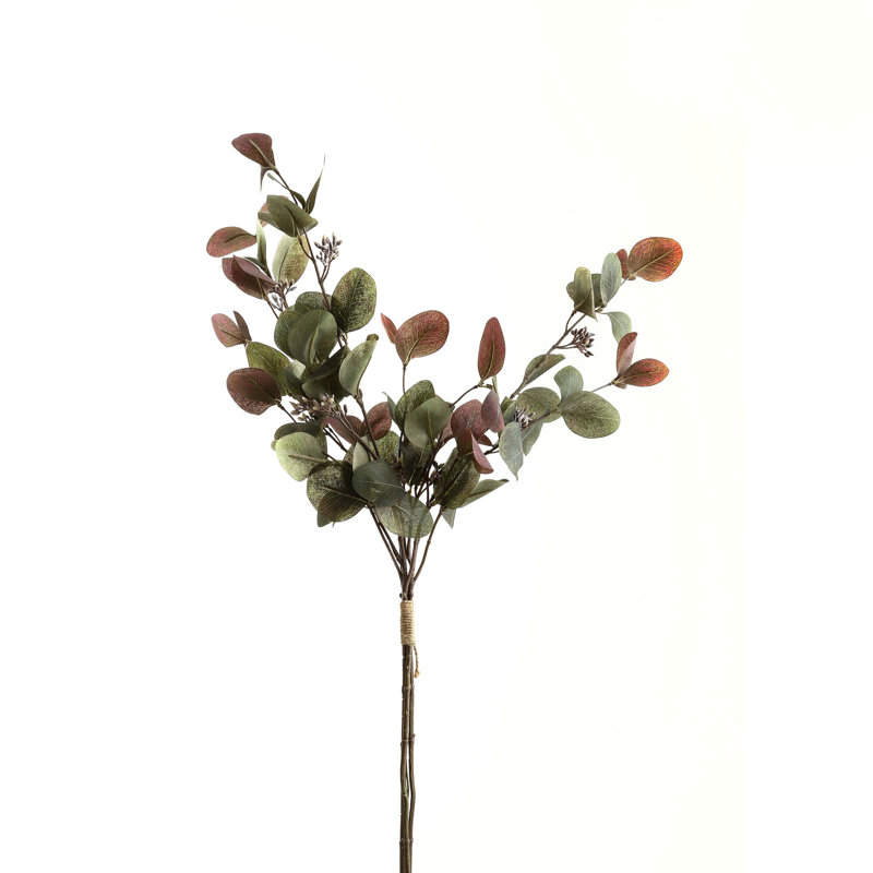 Anastasija Arrangement