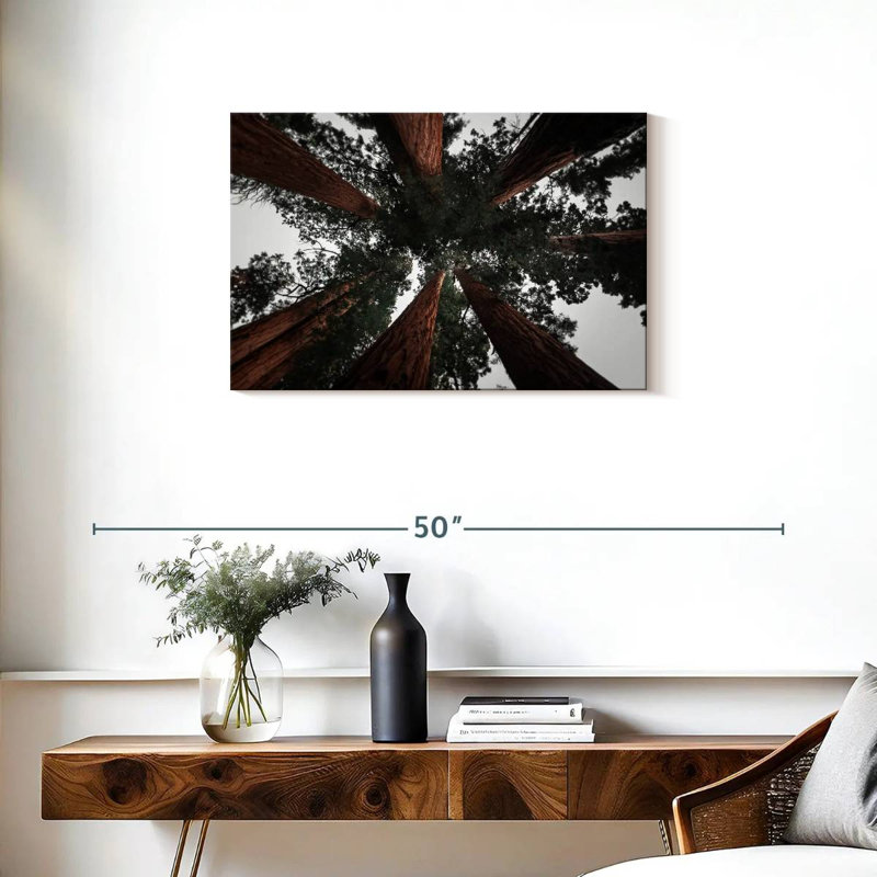 Redwoods de Harnek en Californie, H 20 po x l 30 po
