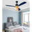 Ceiling Fan with Light Kit-1662170201