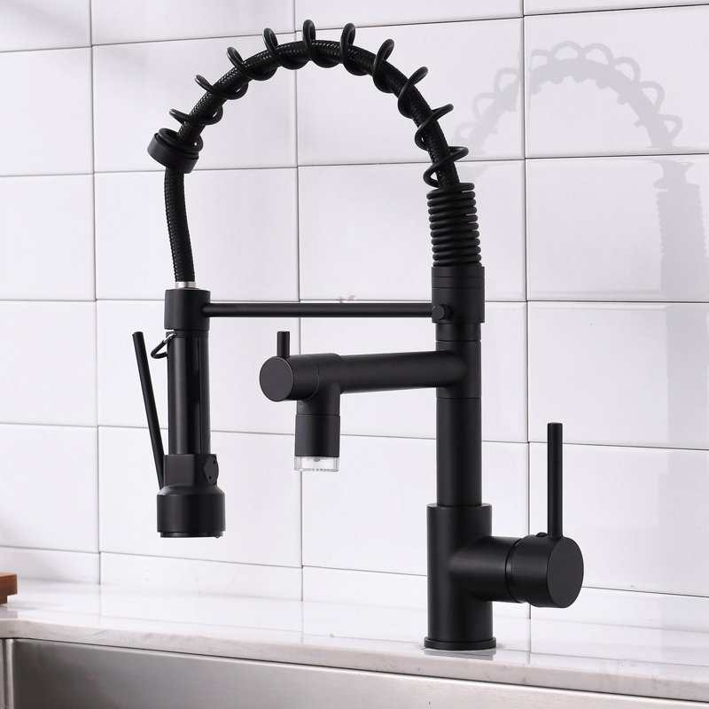Robinet d'évier de cuisine à poignée simple avec douchette extractible