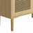 4-Doors Rattan Mesh Storage Cabinet-1821482555