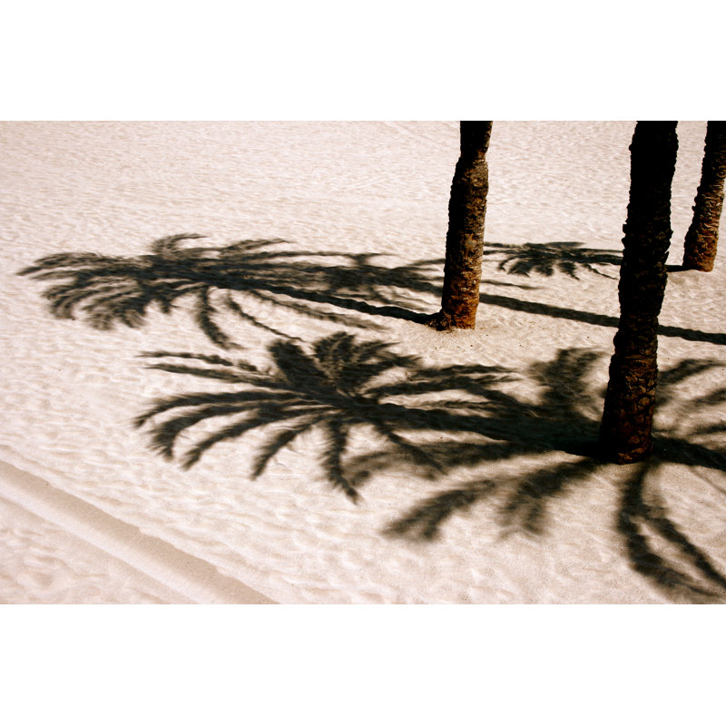 Palm shades, 61cm H x 91cm W