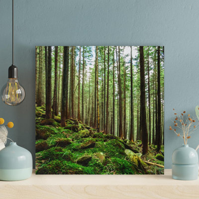 " Grass And Trees During Daytime "