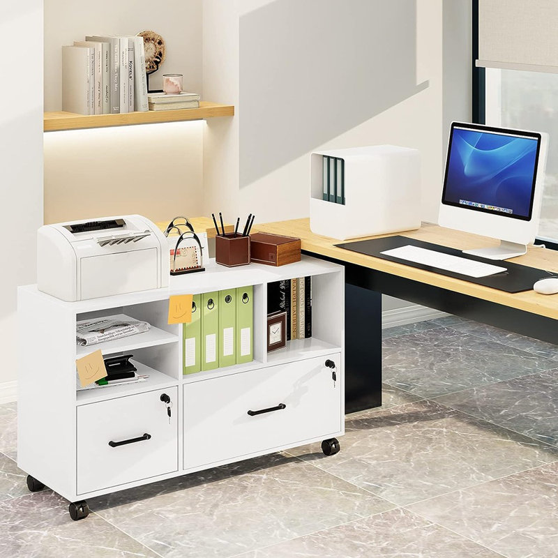 Ashira 42.51'' Wide 2 -Drawer Mobile File Cabinet