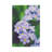 Fleeting by Olivia Joy StClaire - Wrapped Canvas Gallery-Wrapped Canvas Giclée-662961799