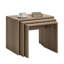 Barberine Coffee Table