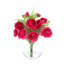 Ranunculus and Fern in a Glass Vase with Acrylic Water-1671722519-1671722518