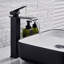 Black 304 Stainless Steel Basin Mixer Tap