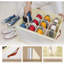 12 Pair Shoe Storage Box
