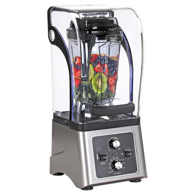Ivy Bronx Countertop Blender