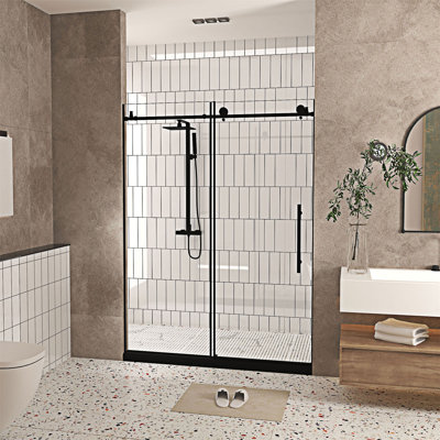 Frameless Shower Door