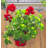 Serra Metal Railing Planter-1907800136