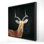 " Antelope "