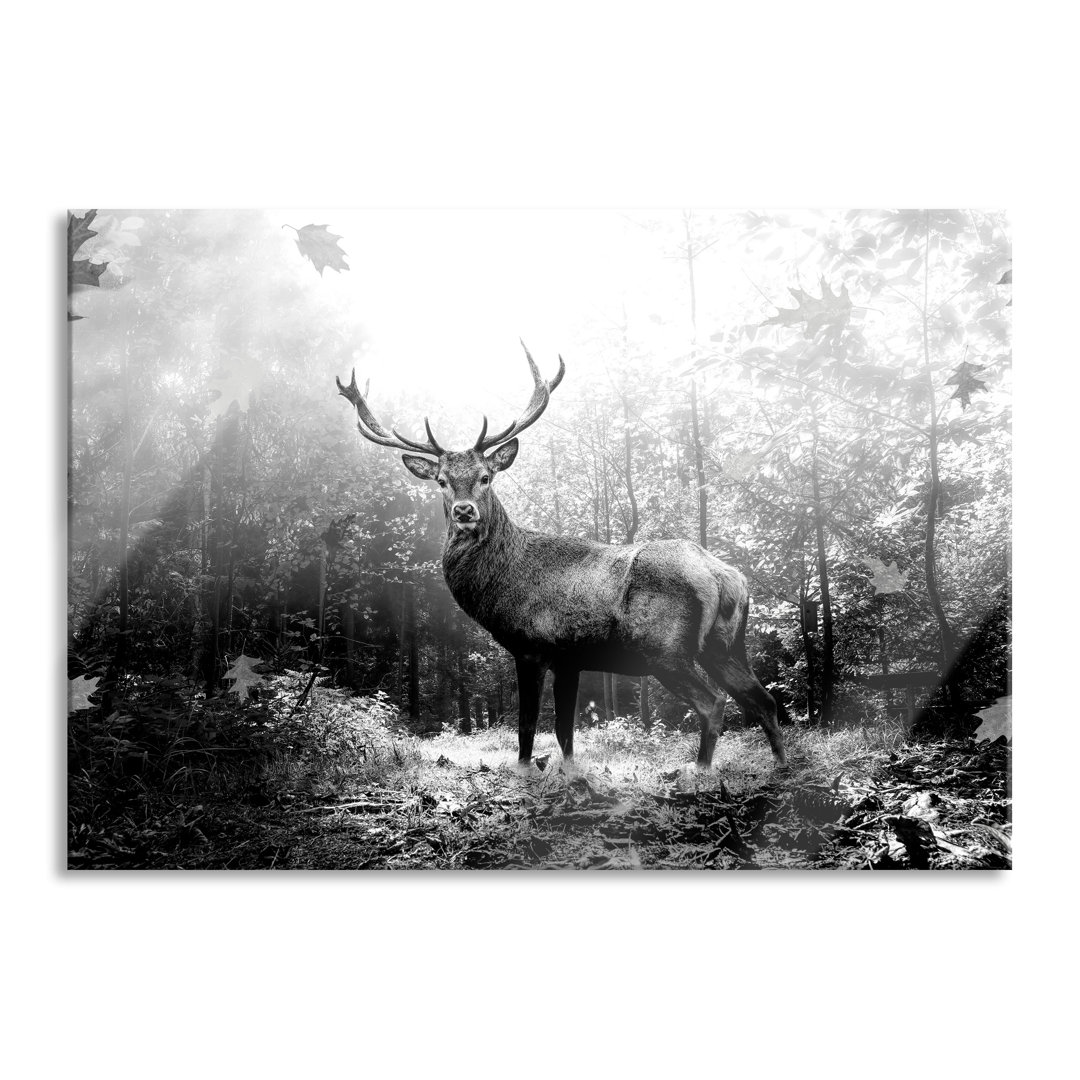 Glasbild Hirsch im Wald mit fallenden Blättern