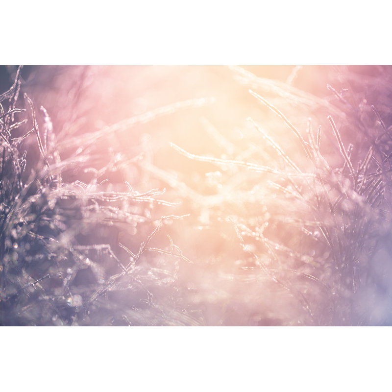 Ð¡olorful Frozen Grass Background by Danilovi - No Frame Print on Canvas, 30cm H x 46cm W