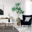 66 plantes-97701523