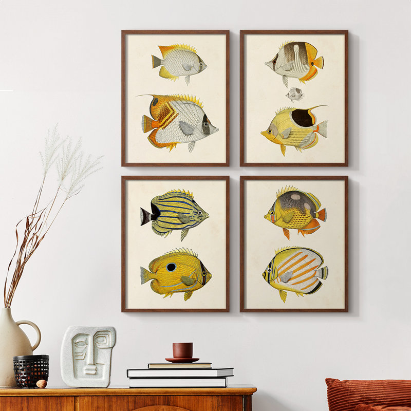 «Fish I», ensemble de 4 reproductions encadrées, Naturel, H 28 po x l 22 po